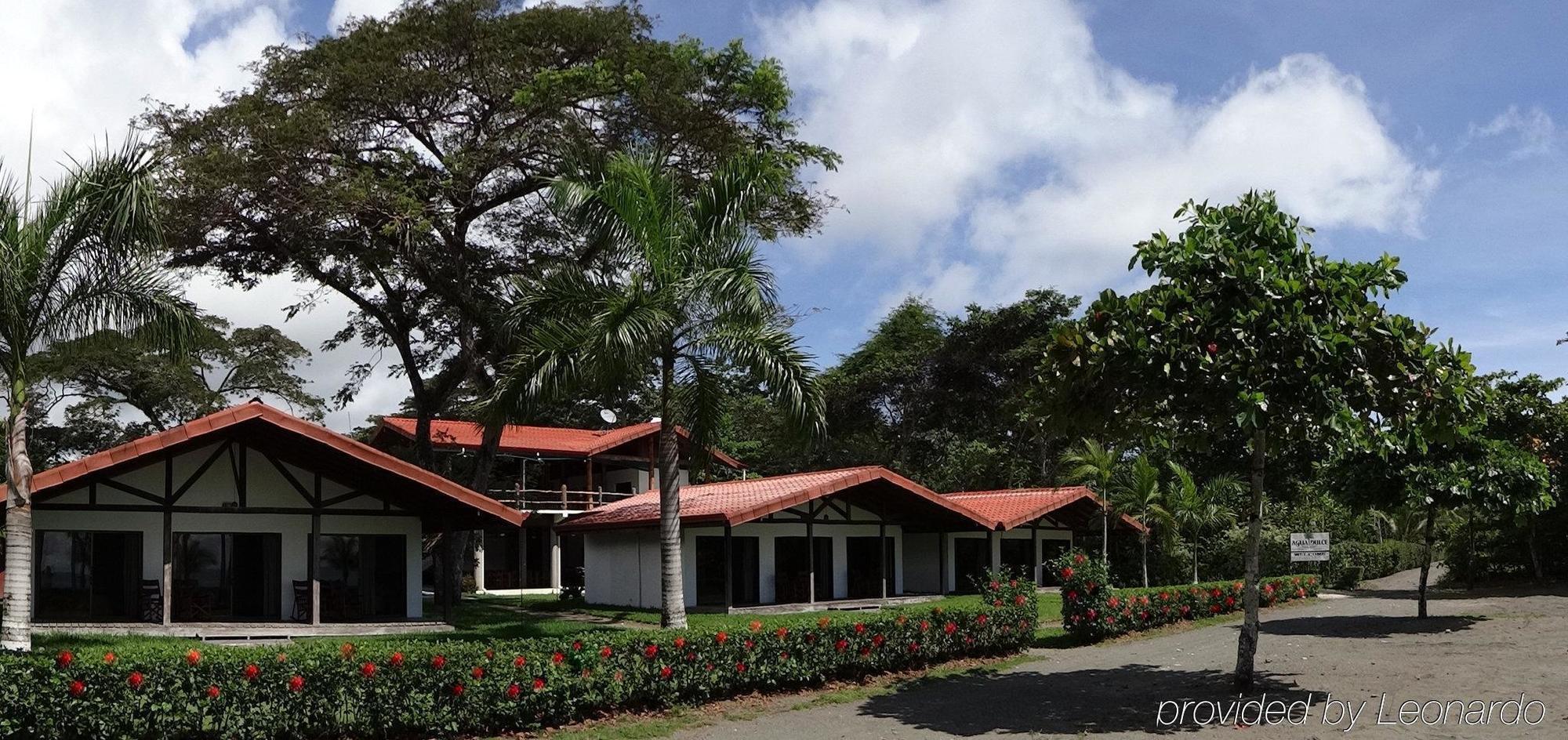 Agua Dulce Beach Resort Puerto Jiménez Exterior foto