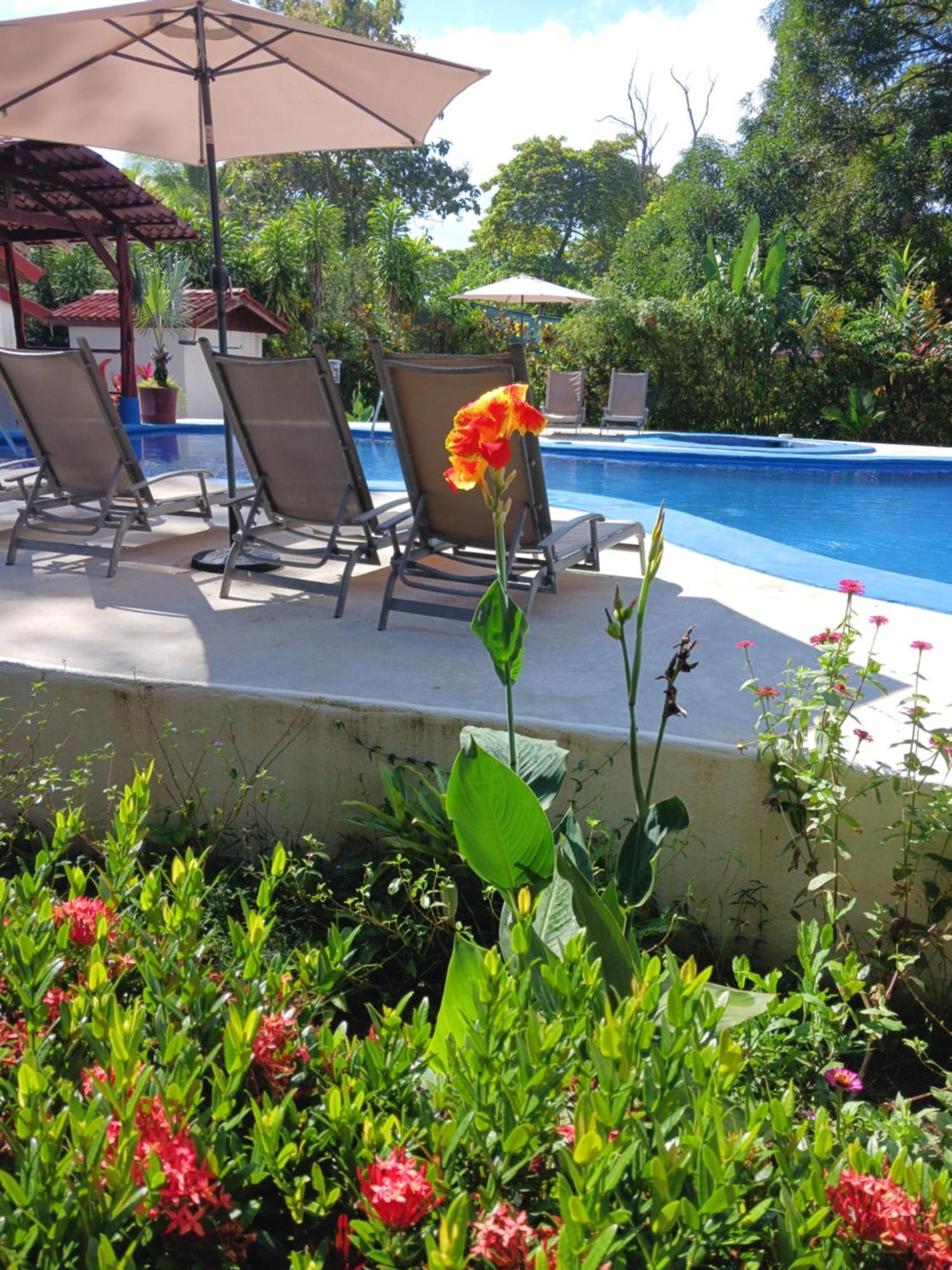 Agua Dulce Beach Resort Puerto Jiménez Exterior foto